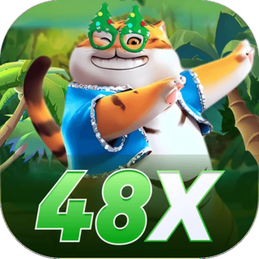 48X pro
